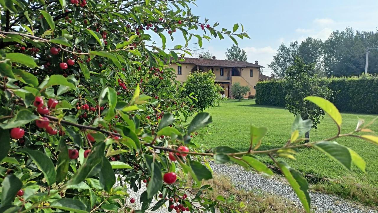 Il Chiassetto Agriturismo No Kids Villa กาสชินา ภายนอก รูปภาพ